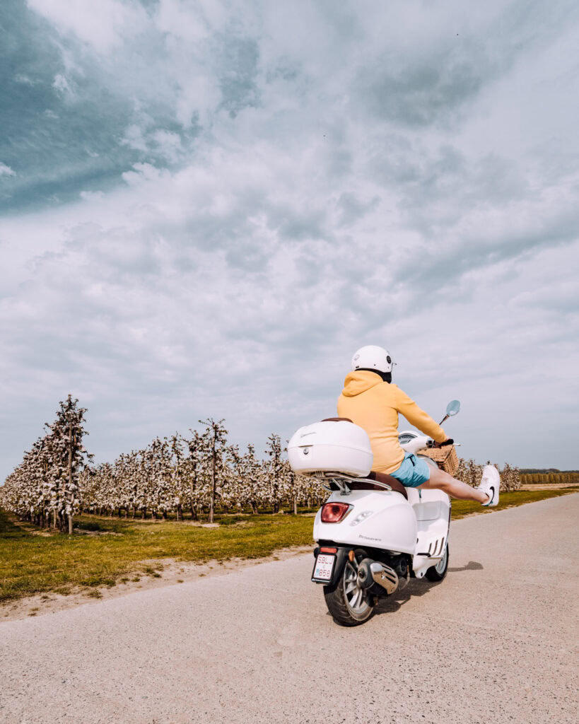 Vespa Haspengouw in Limburg