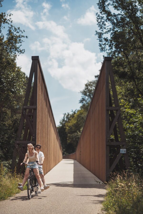 Cycling through the heath in Limburg