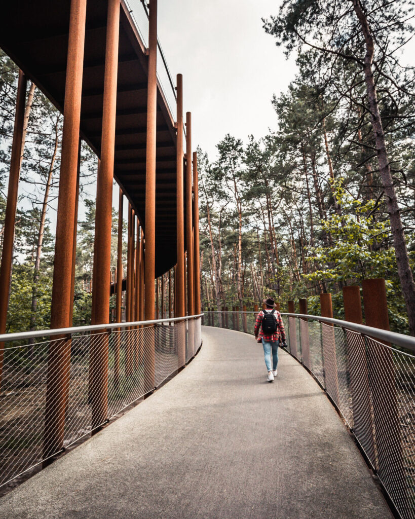 Cycling through the trees in Limburg