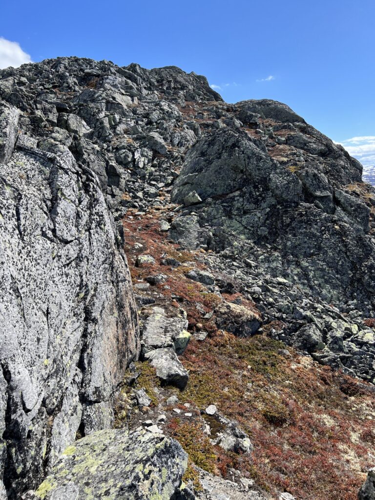 The Knutshøe in Jotunheimen Park, Norway