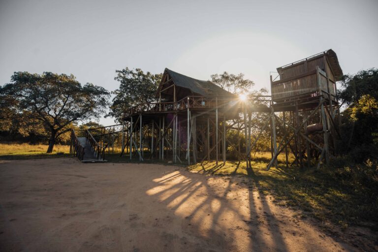 South Africa - Pezulu Tree house lodge