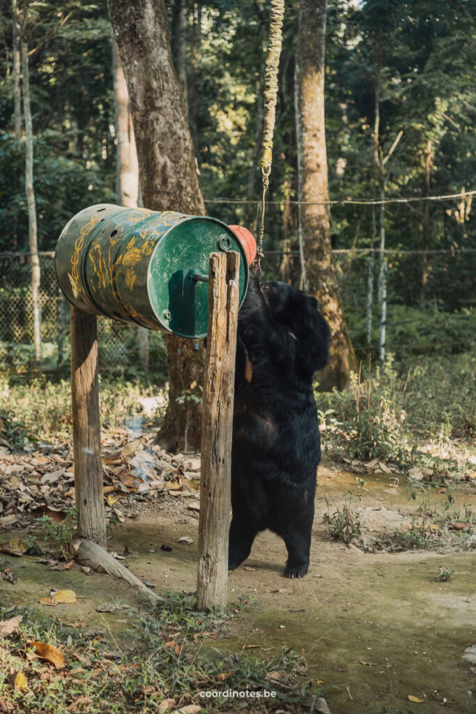 Bear Rescue Center