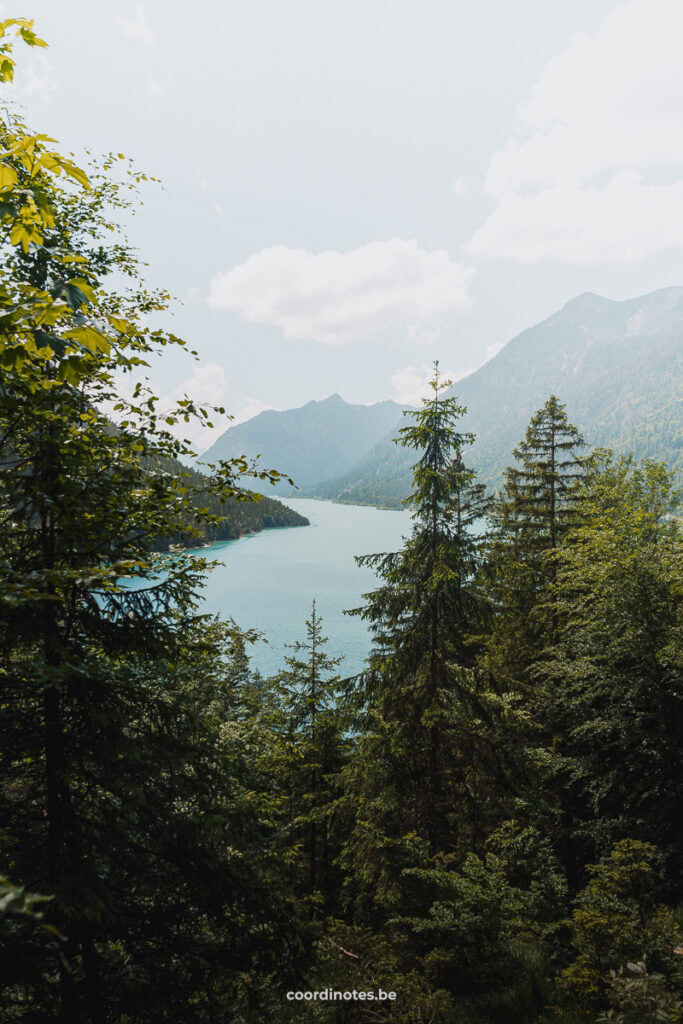 View through the trees on the plansee