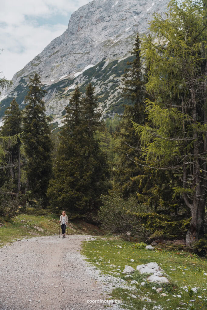 Ehrwalder Alm to Ehrwald