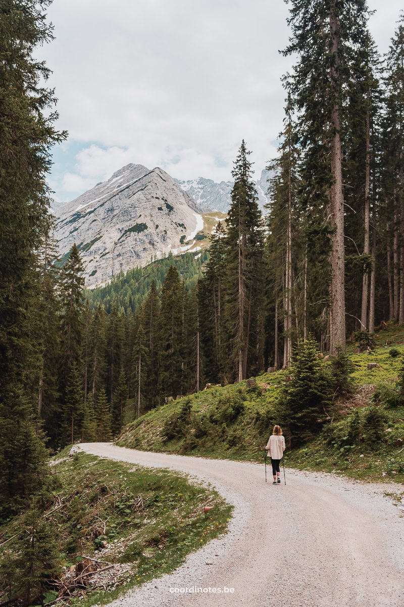 Ehrwalder Alm to Ehrwald