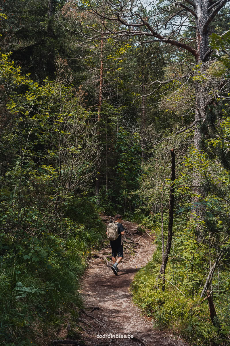 On the hiking path at Achensee