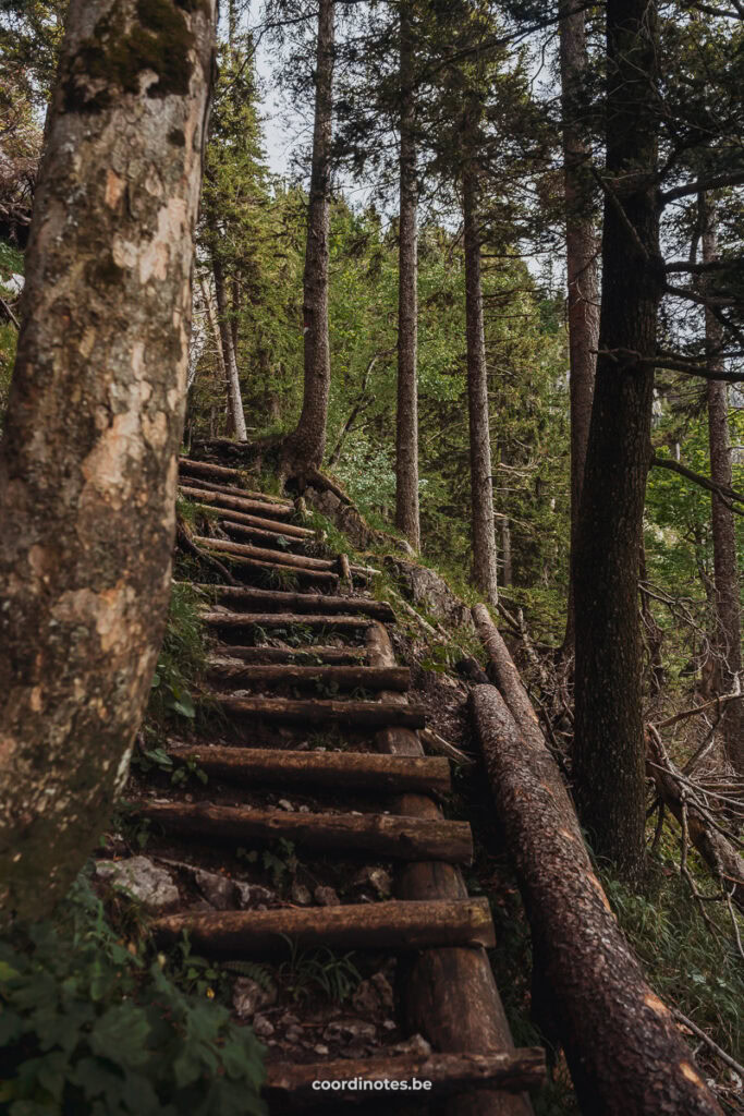 The path during the Schober hike