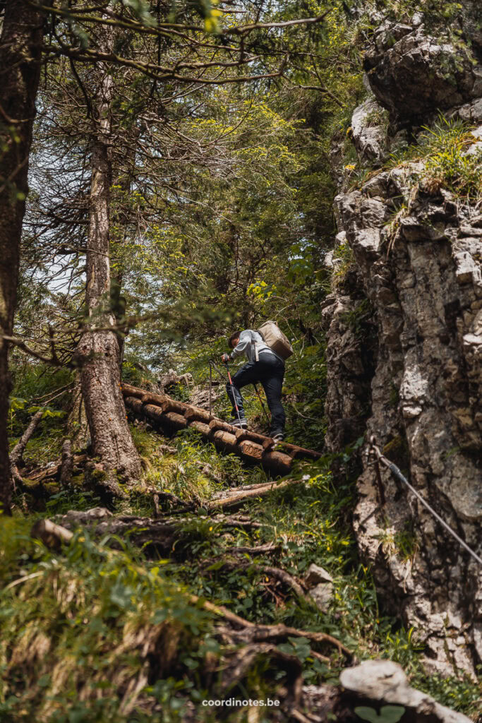 Zigzag path on the Schober hike