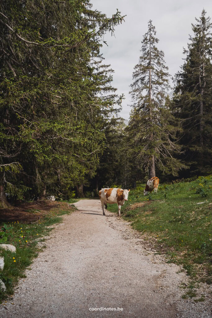 Klettersteig Donnerkogel