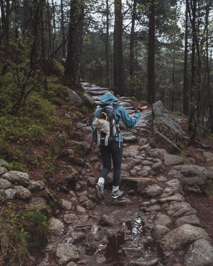 Hike to Preikestolen, Norway