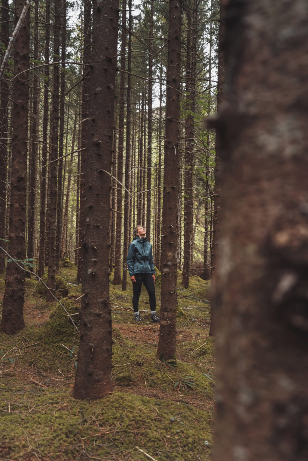 Trail to Trollkyrkja in Southern Norway