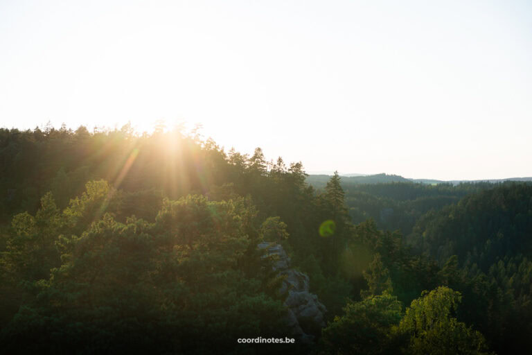 Sunlight streams over a dense forest as the sun sets, casting warm golden rays across the trees and hills ahead.