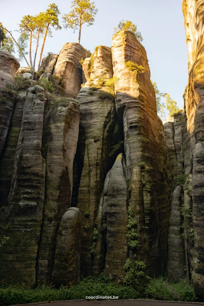 Tall sandstone rock pillars rise in a narrow canyon, with a few trees growing atop them under a blue sky.