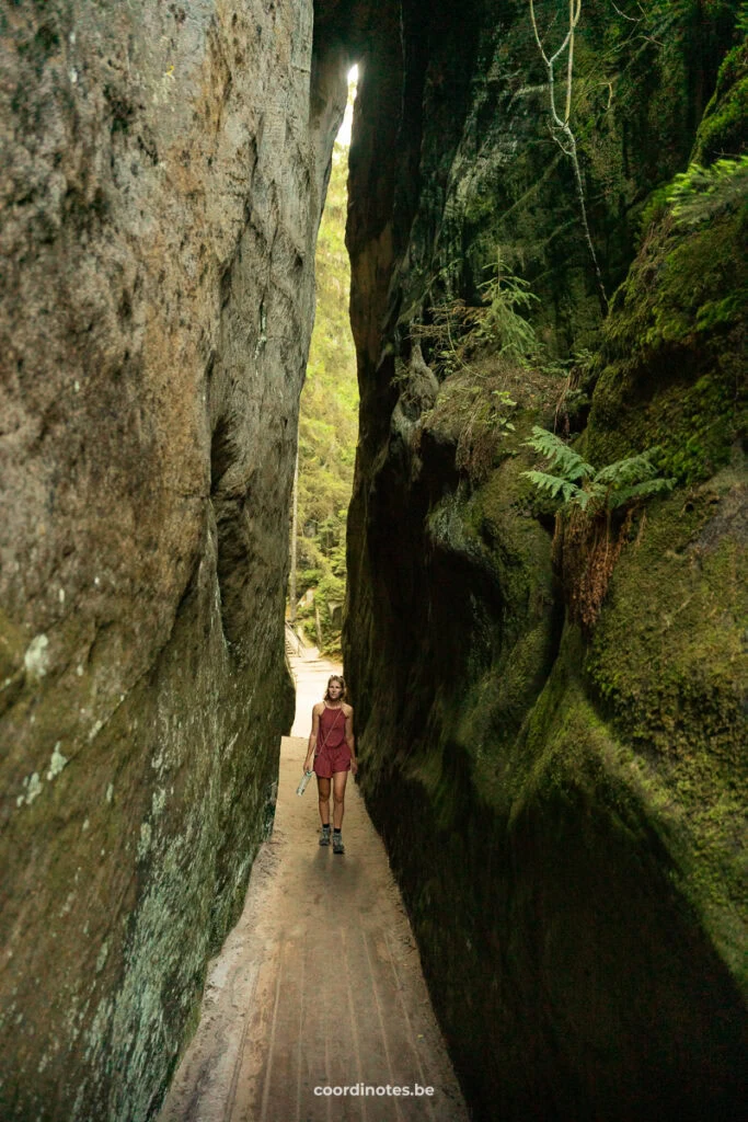 Person in a red outfit walks through a narrow canyon between towering moss-covered rock walls.