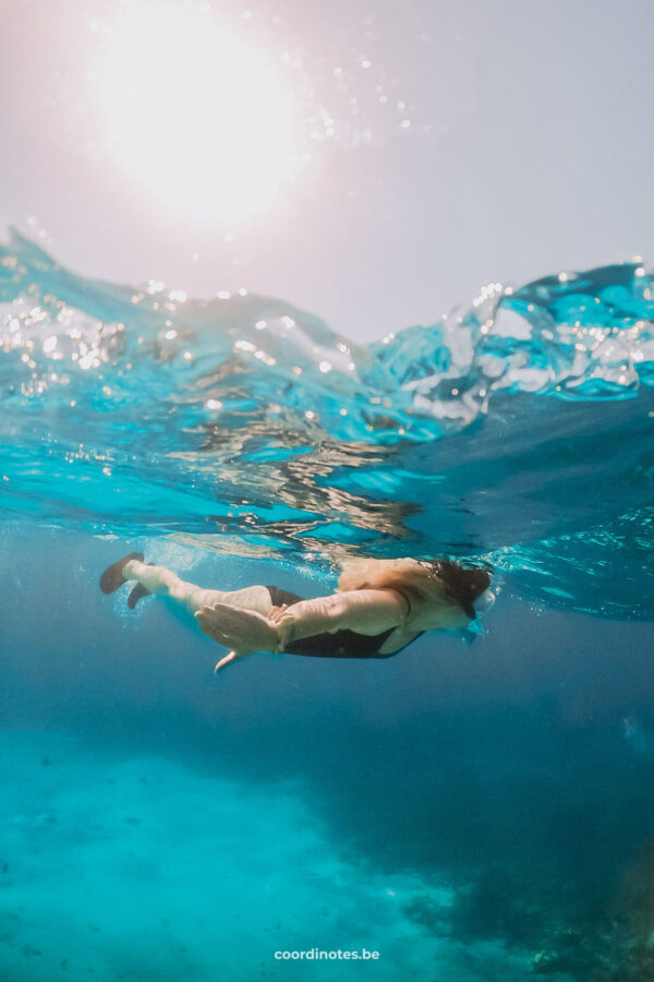 Snorkeling in the crystal clear water of the Red Sea in Egypt