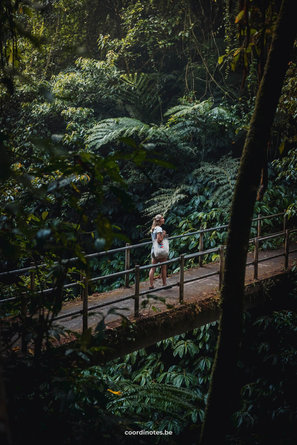 Bridge on your way to the Nungnung waterfall