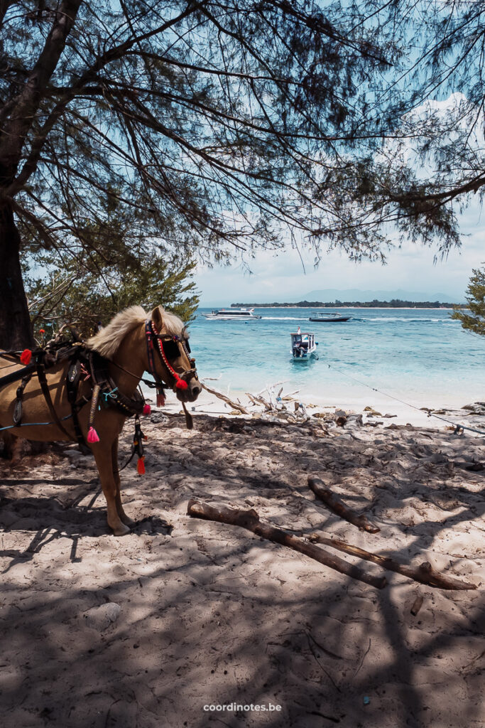 Enjoy the peace and quiet on Gili Meno