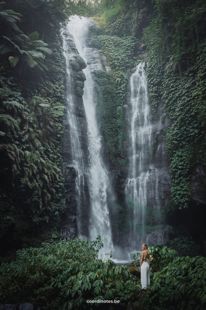 Fiji Waterfall in Bali