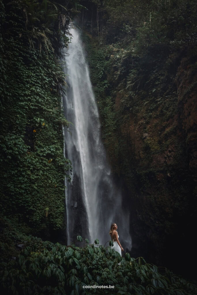 Fiji Waterfall in Bali