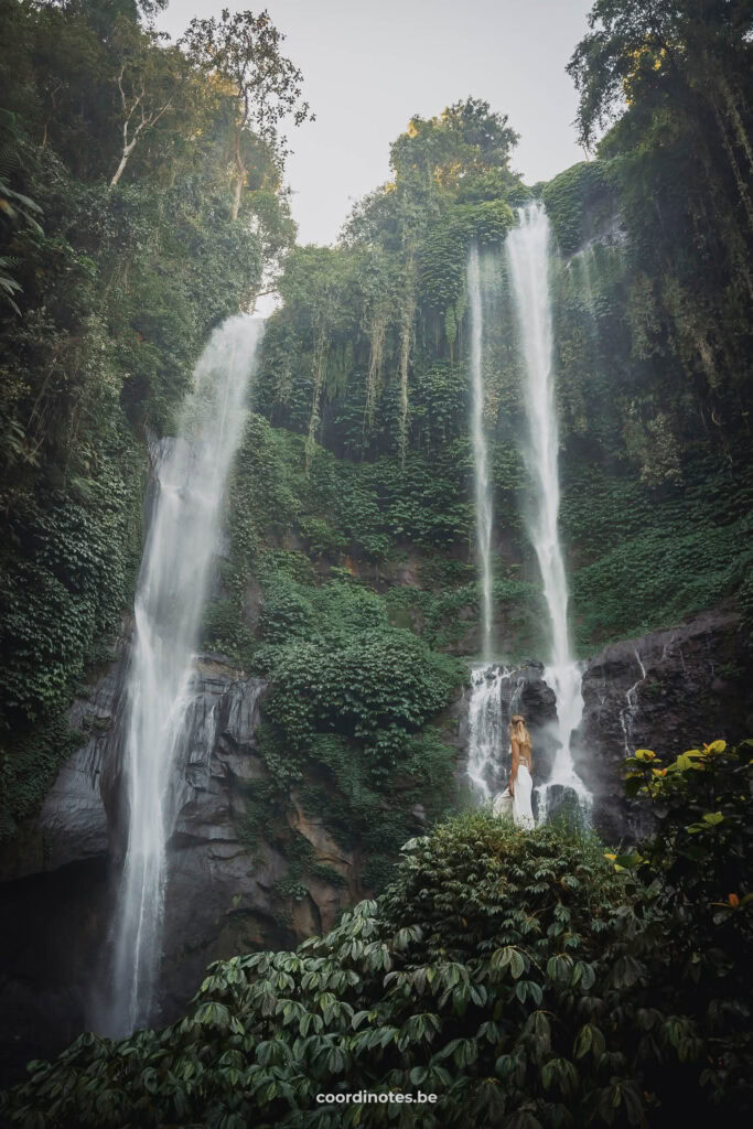 Sekumpul Waterfall in Bali