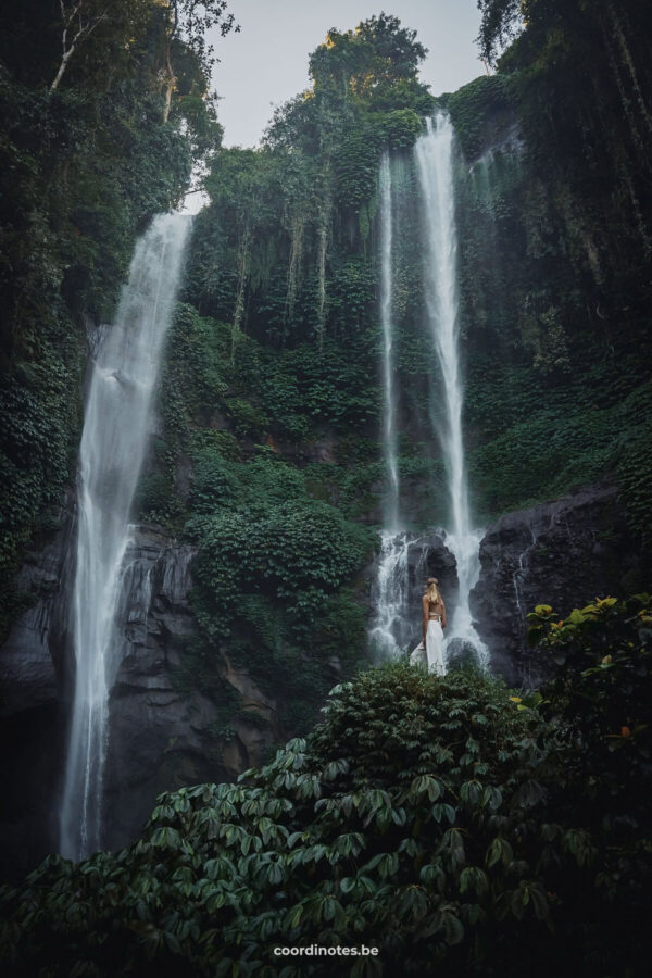 Sekumpul Waterfall in Bali