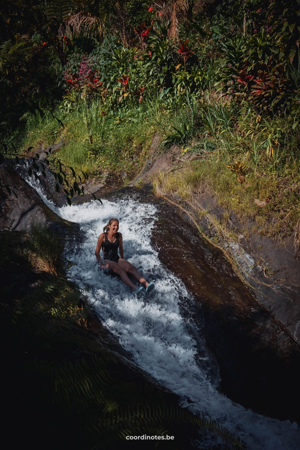 Lemikuh Water slide