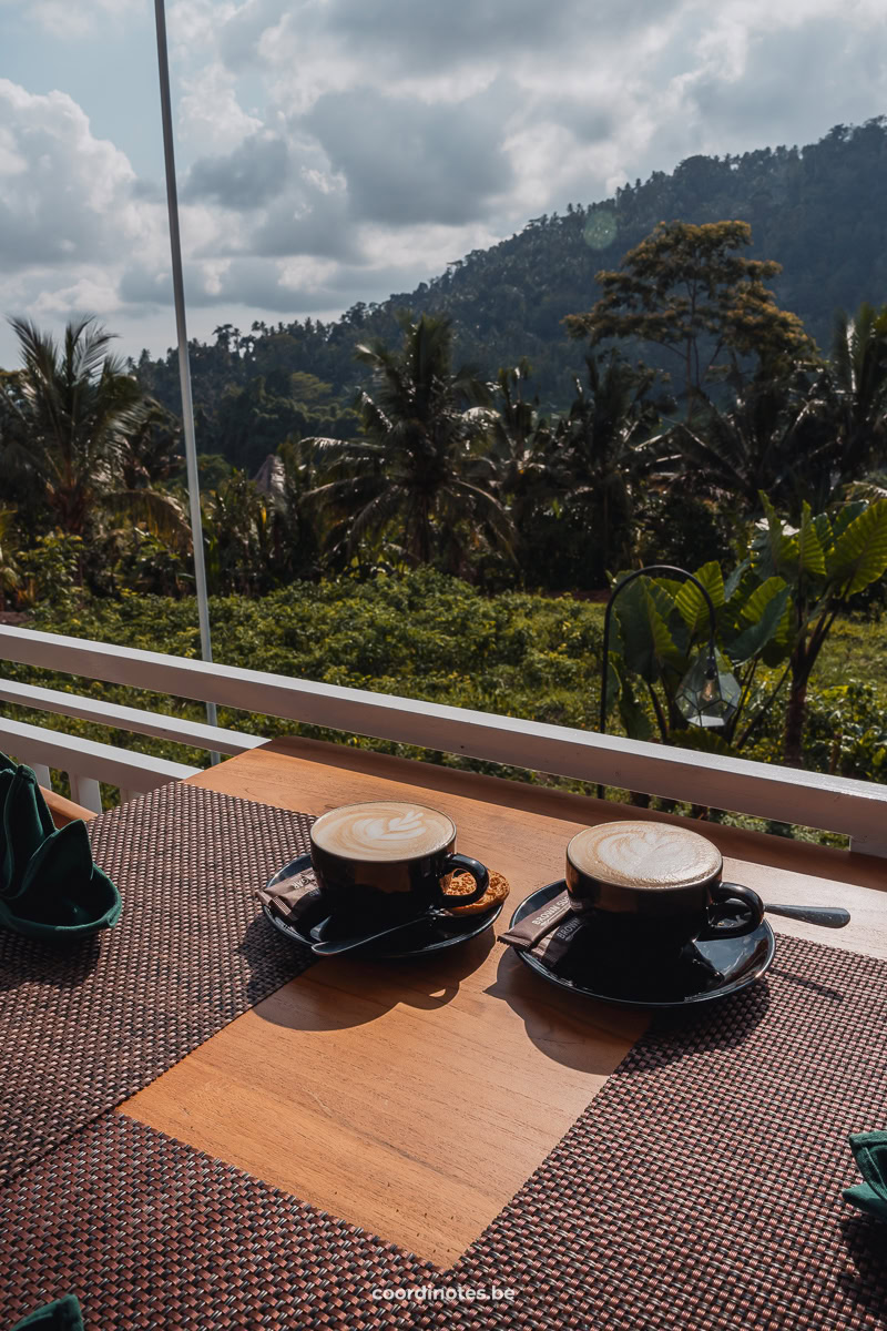 Coffee with a view in Sidemen, Bali