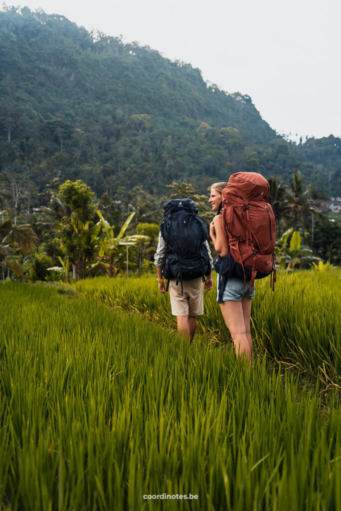 Rice Field Trekking in Sidemen, Bali