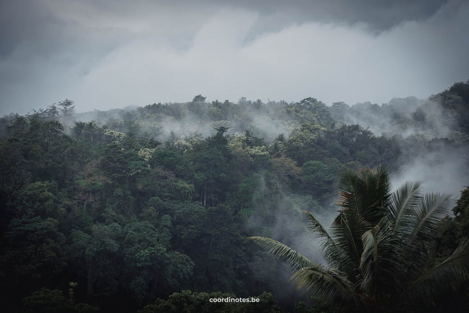 View during the hike to Tiu Kelep Waterfall