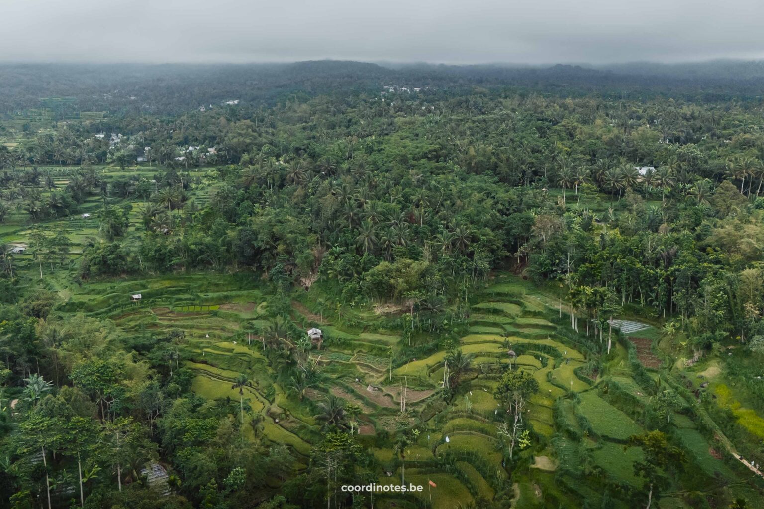 Tetebatu Rice Terraces