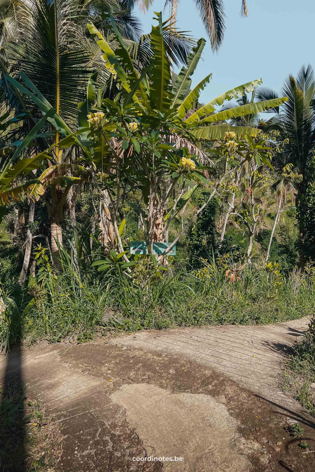 Lemikuh Water slide