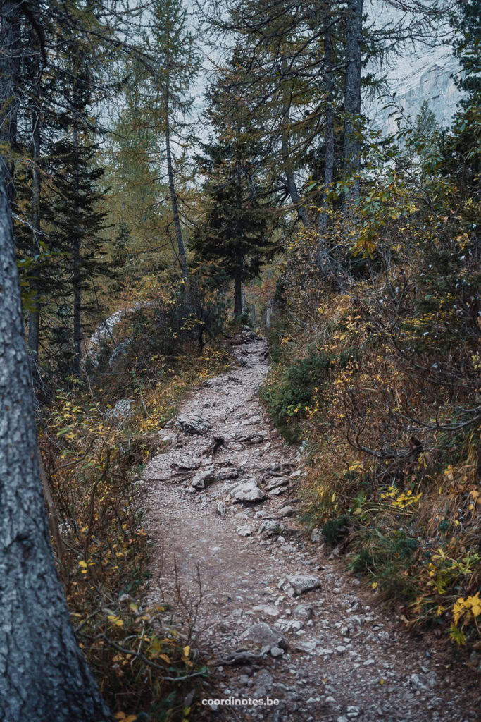 The mountain trail in the forest to Lago di Sorapis