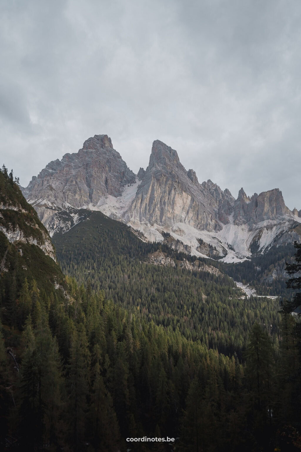 Views on the mountain peaks with a big pine tree forest in front during the Lago di Sorapis hike