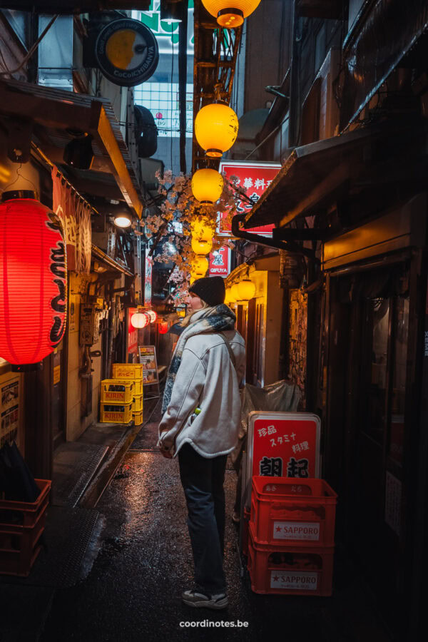 Omoide Yokocho