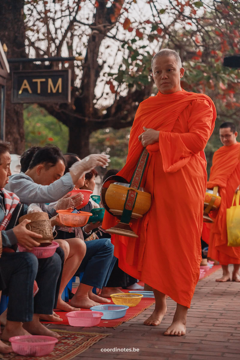 Monks Giving alms during the Tak Bat Ceremony