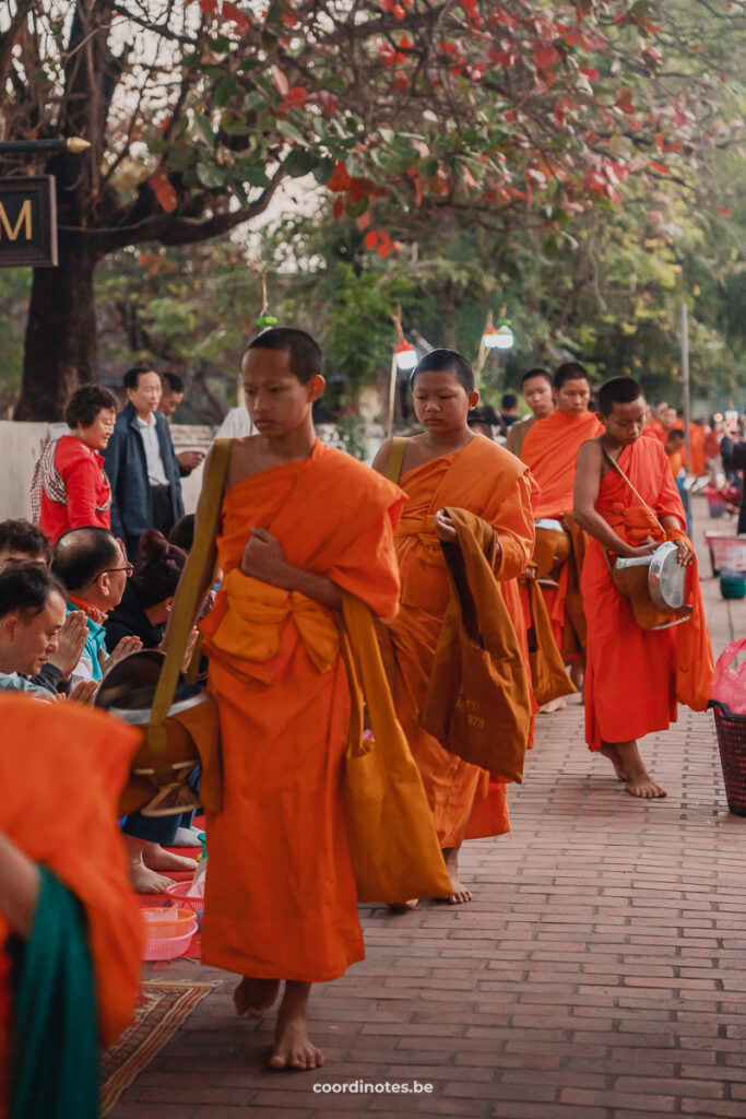 Monks Giving alms during the Tak Bat Ceremony