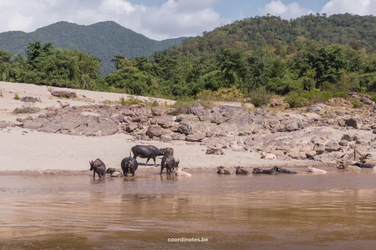 Slow boat from Thailand to Laos