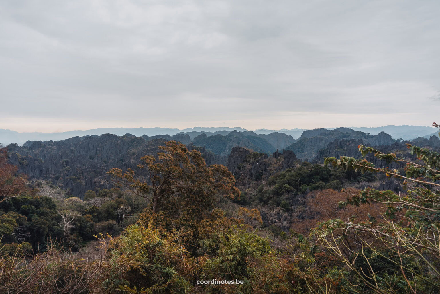 Limestone forest viewpoint