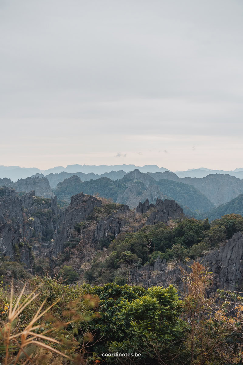 Limestone forest viewpoint