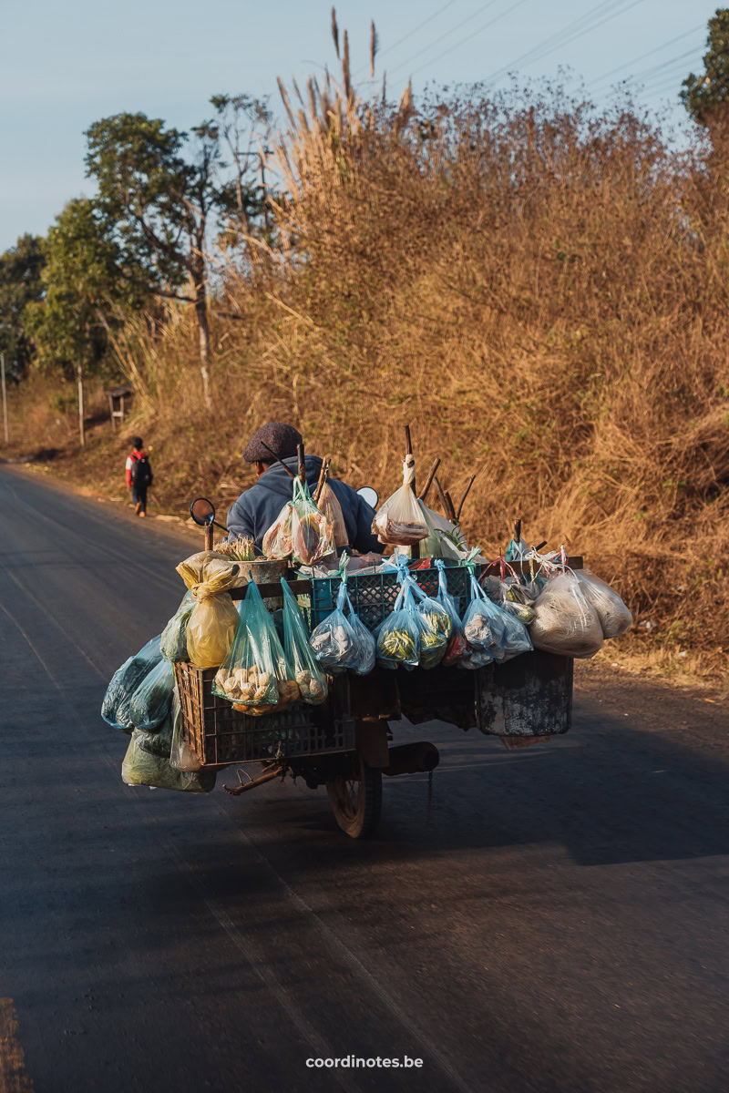 A scooter driving with a lot of bags hanging on in with fruits and vegetables