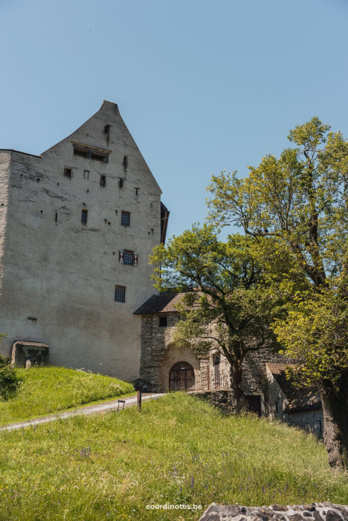 Gutenberg Castle