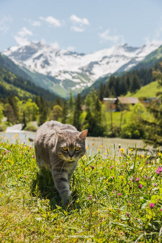 Pablo in Liechtenstein