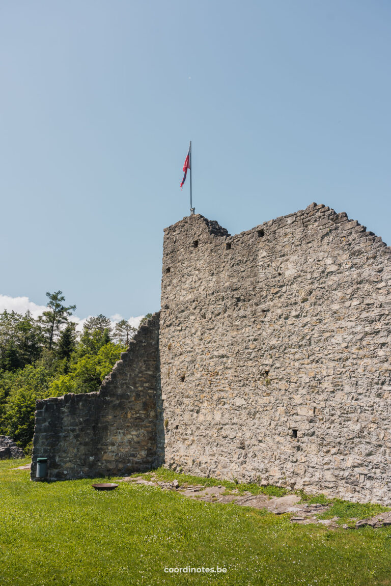 Castle Ruin in Schellenberg