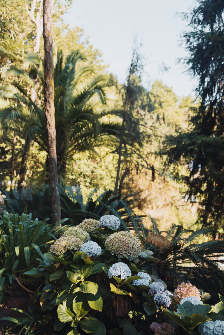 Monte Palace Tropical Garden