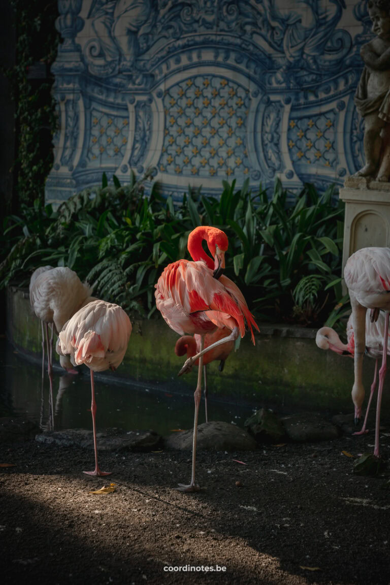 Monte Palace Tropical Garden