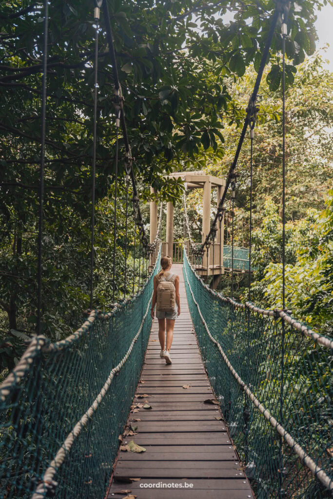 Kuala Lumpur Forest Eco Park