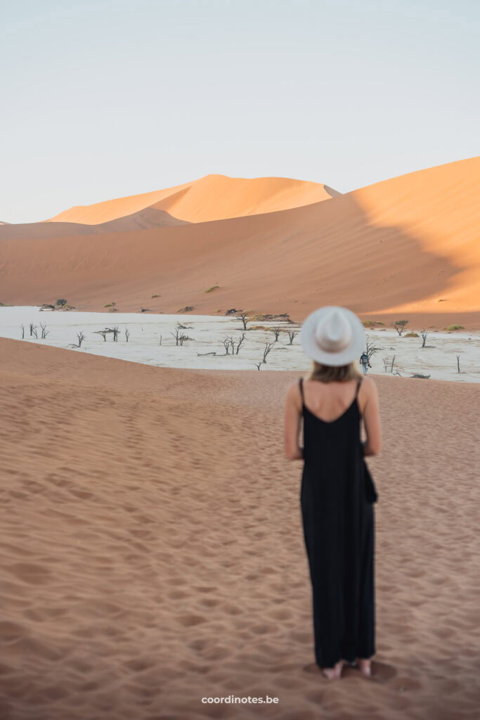 Saran standing on the sand with a black dress and a grey hat. She is looking at a white clay area filled with dead trees, surrounded by orange sand dunes in the background.