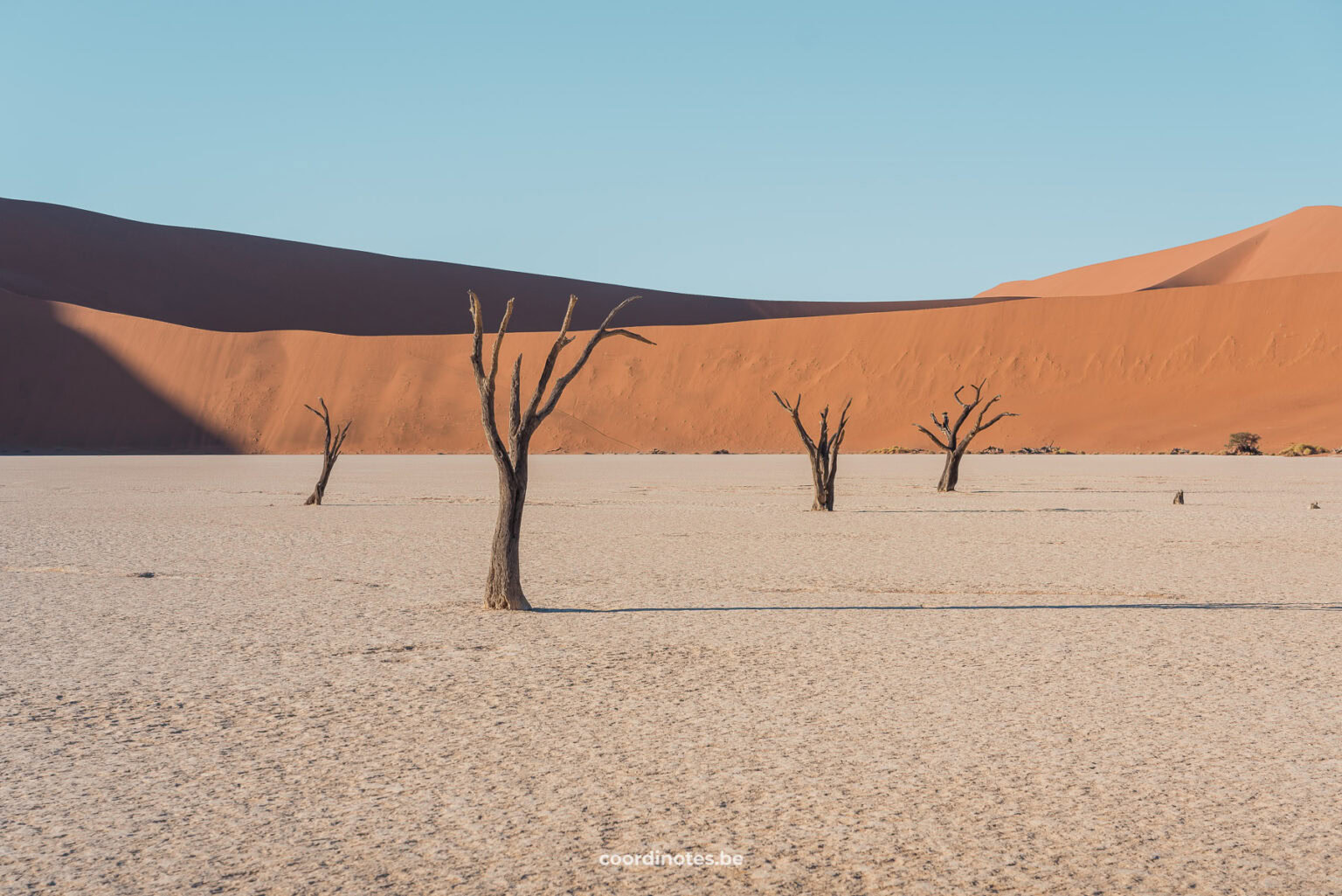 A white clay area with a few dead trees and sand dunes in the background.