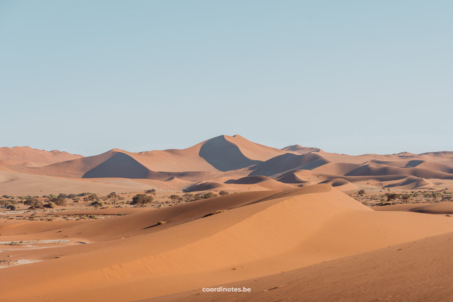 A landscape filled with orange sand dunes in Sossusvlei