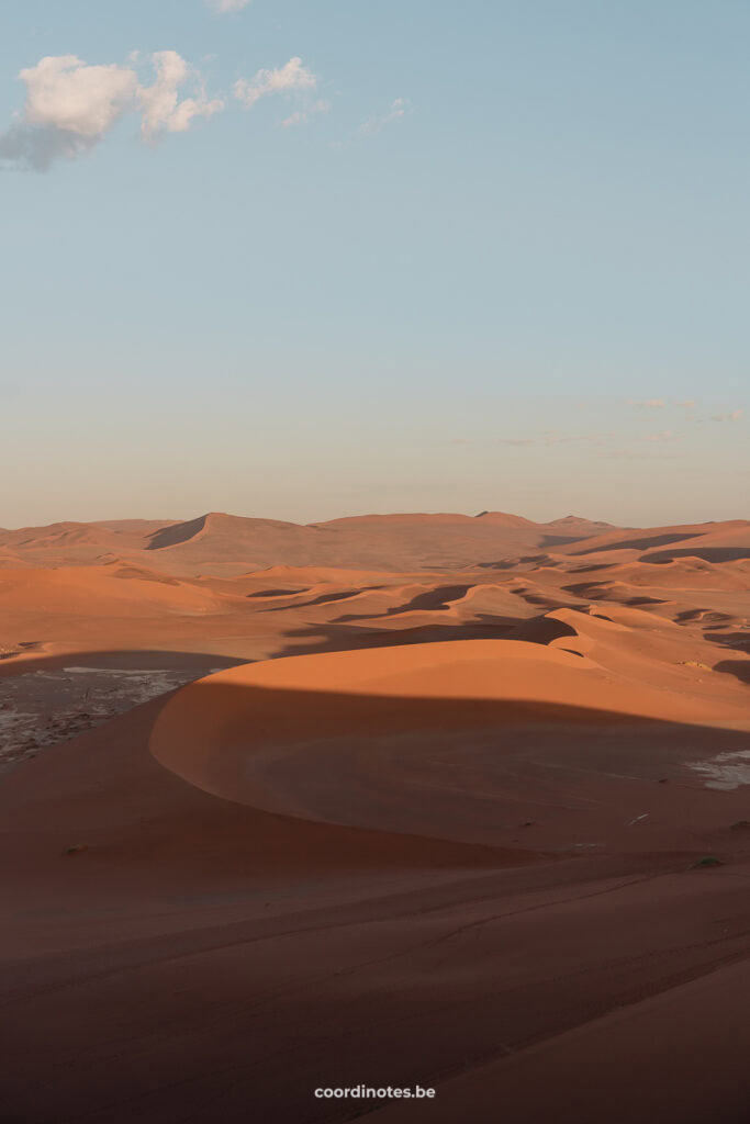 A big plane with big red sand dunes.